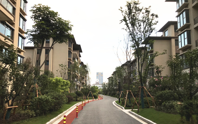 江蘇南通?國城璟府二層花園房別墅小電梯，二層別墅小電梯